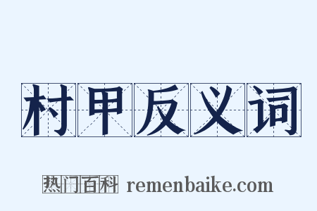 村甲反义词是什么意思的图片